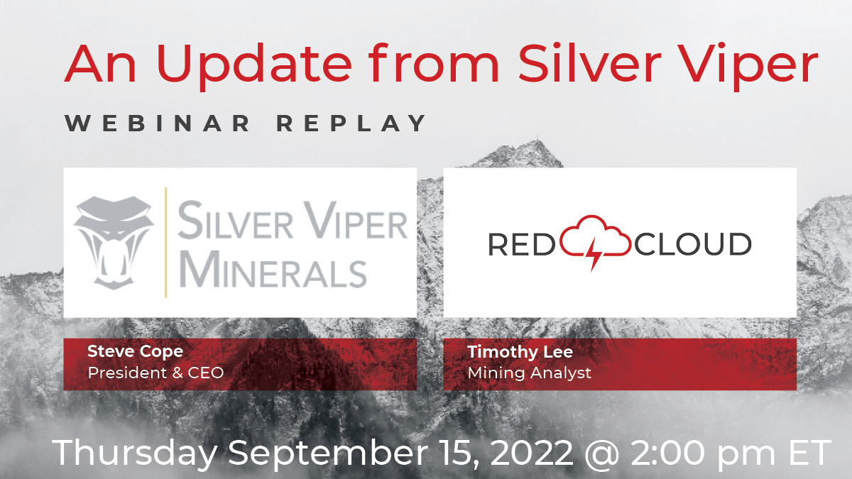 Silver Viper - Replay